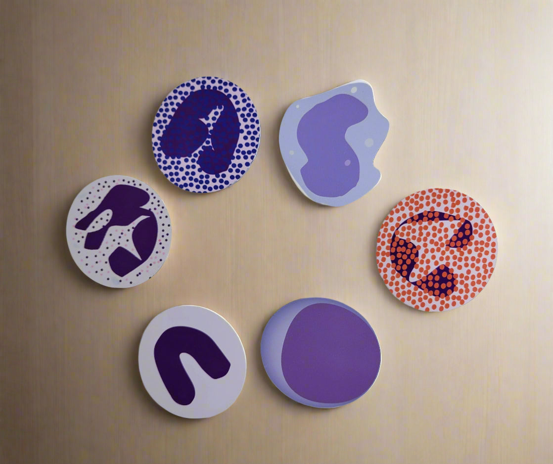 WBC Magnets Set