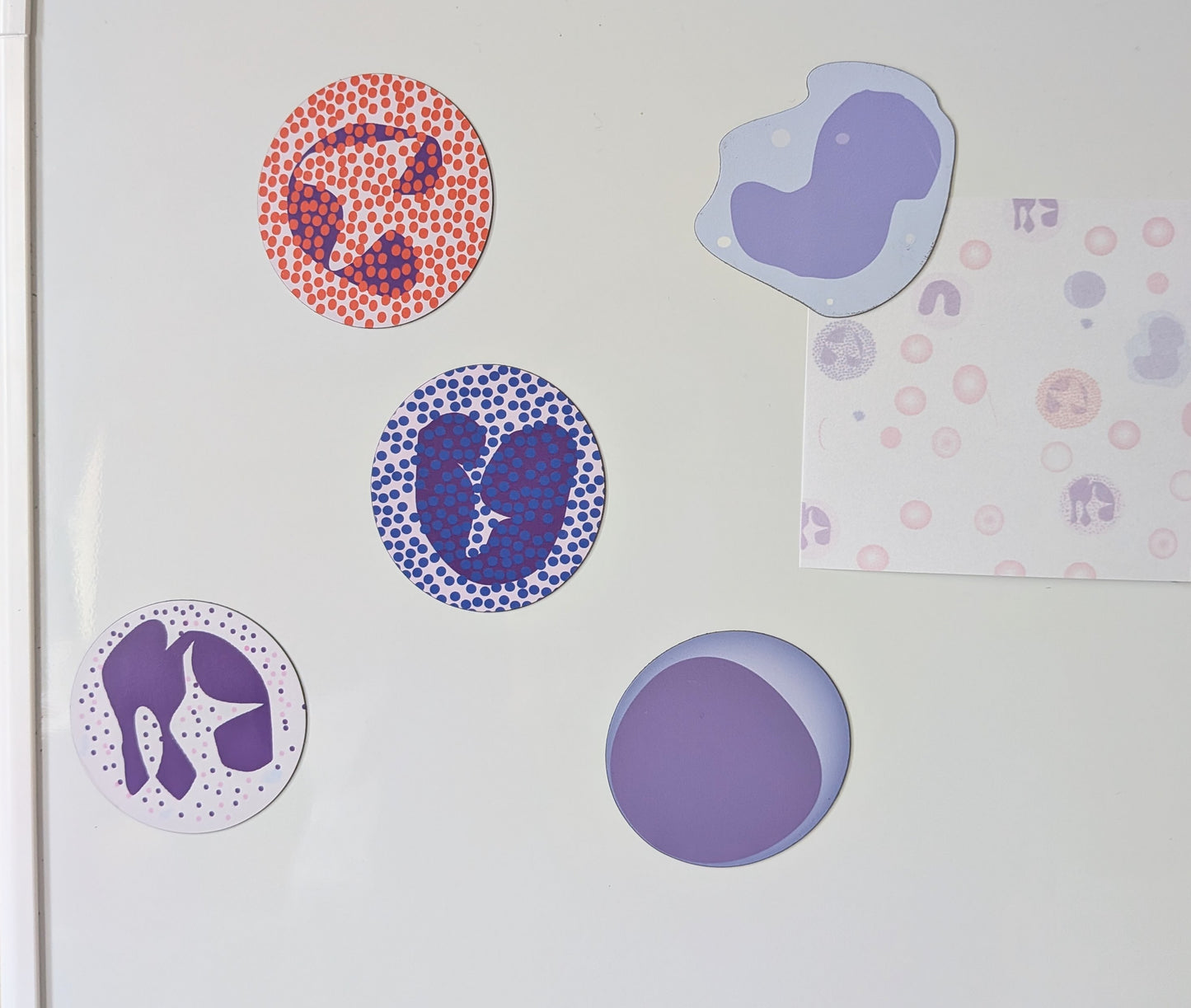 WBC Magnets Set
