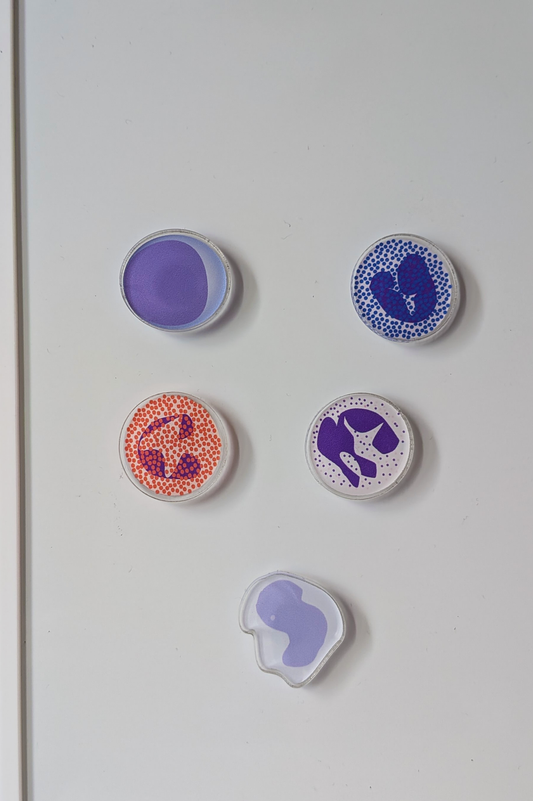 WBC Acrylic Magnet Set