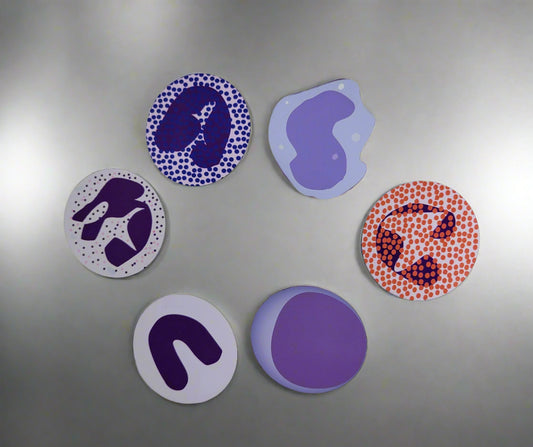 WBC Magnets Set