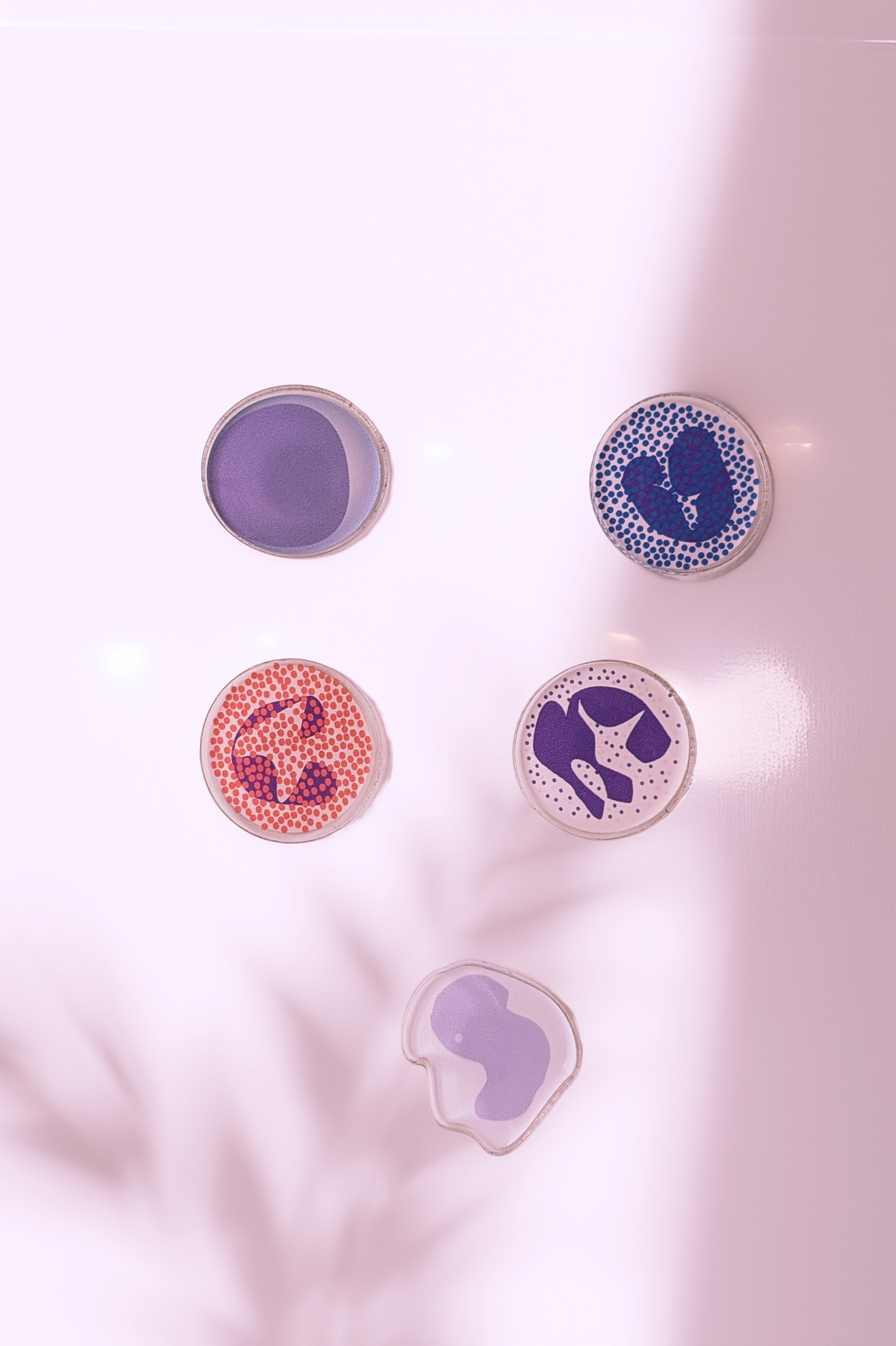 WBC Acrylic Magnet Set
