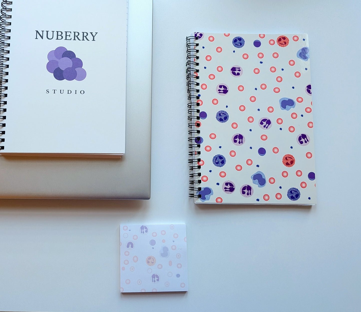 Peripheral Smear Notebook